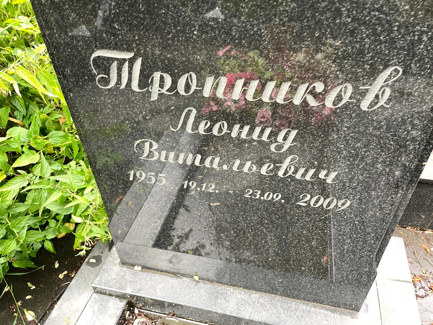 Тропников