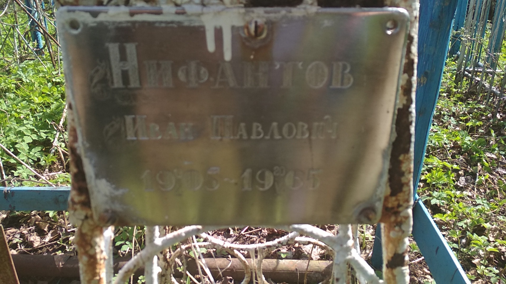 Нифантов Иван Павлович