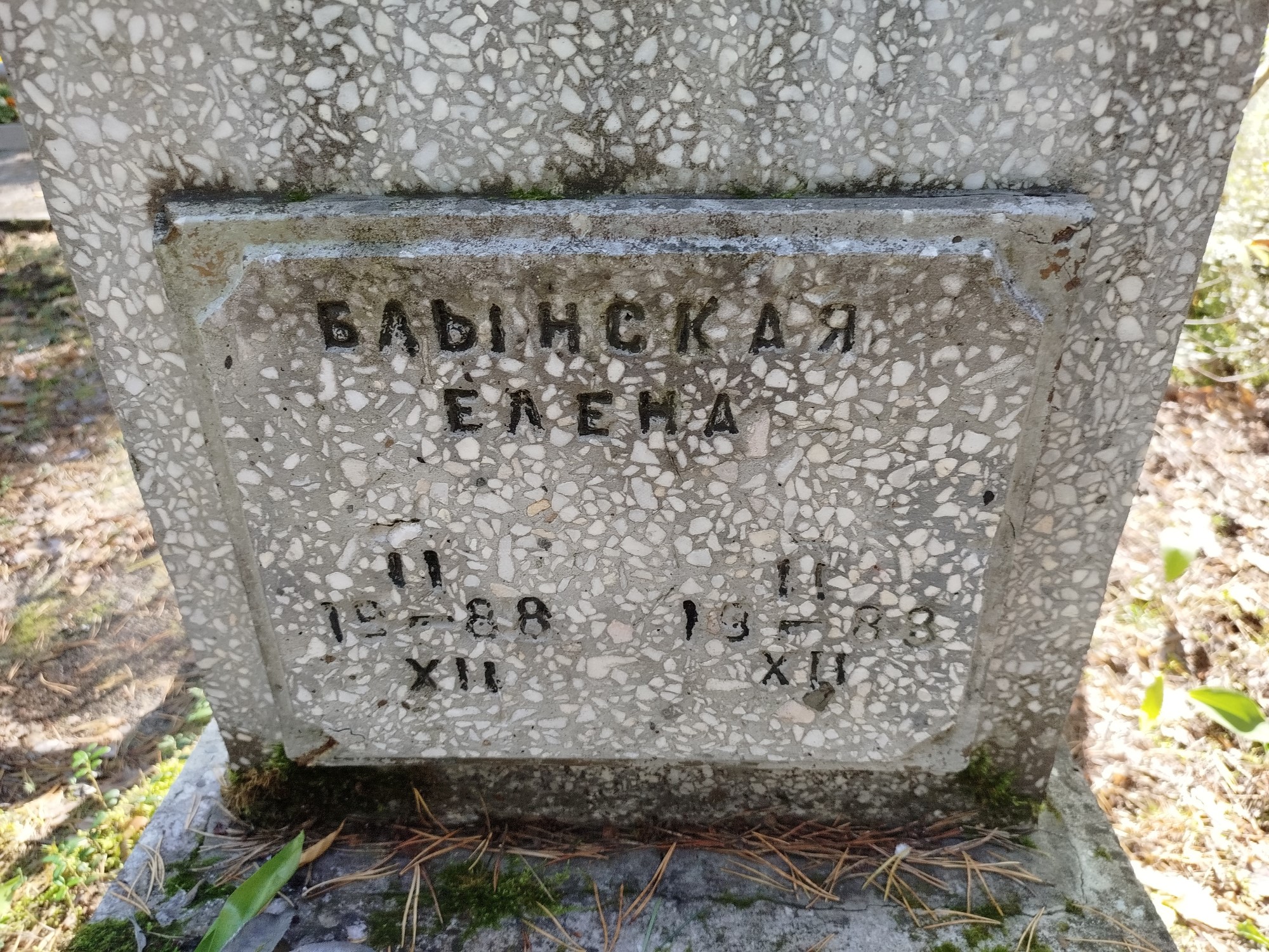 Блынская Елена