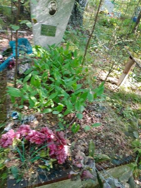 Просвиряков Михаил Иванович