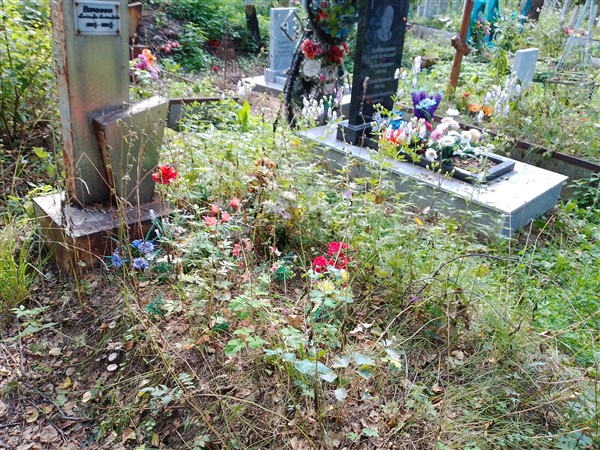 Воронина Александра Александровна