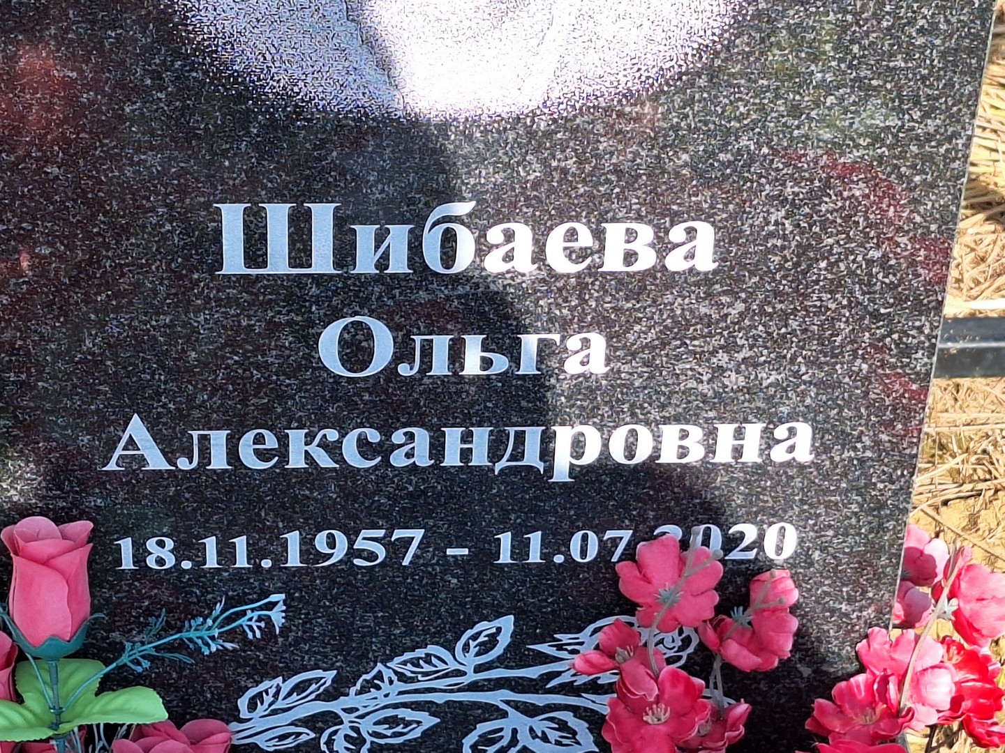 Шибаева