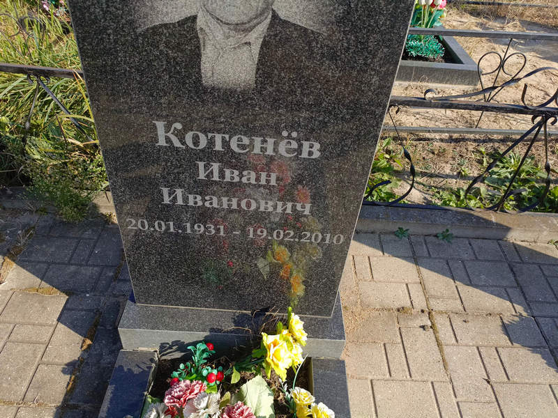 Котенев