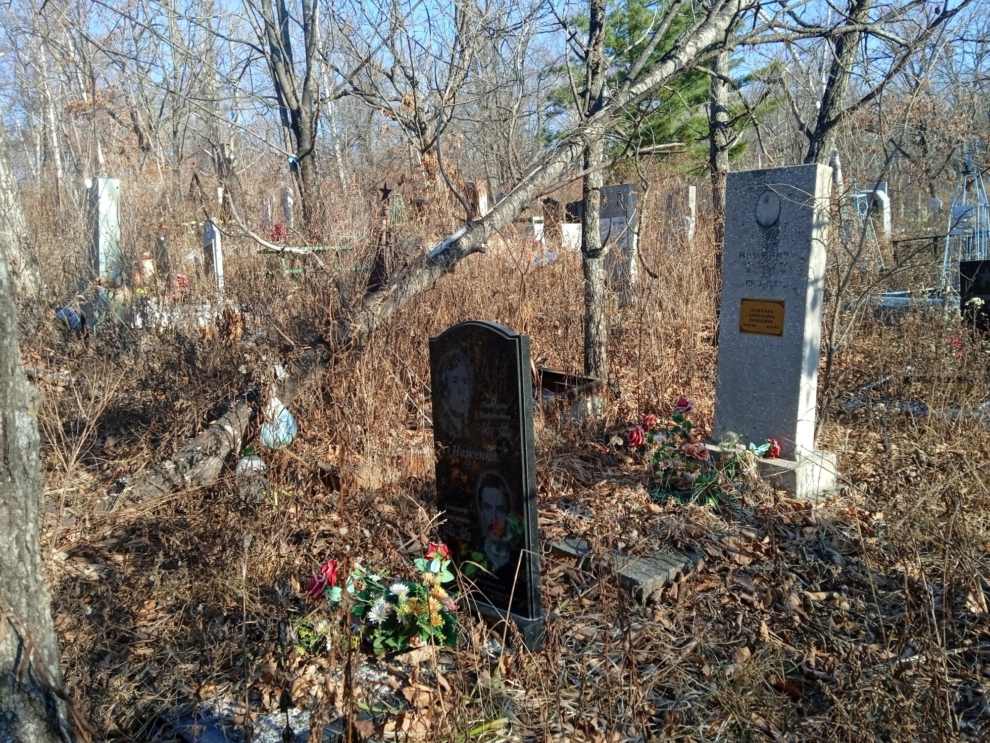 Ноженко Александр Георгиевич