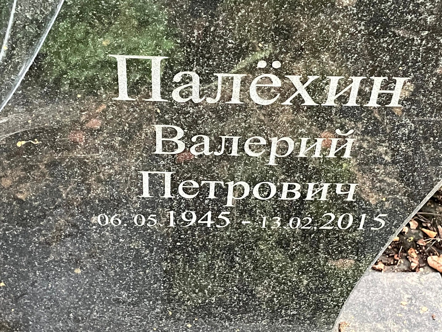 Палехин