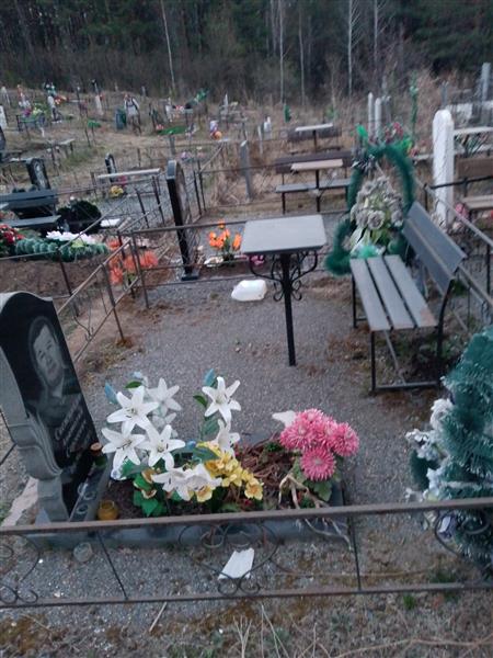 Свежинкин Анатолий Сергеевич