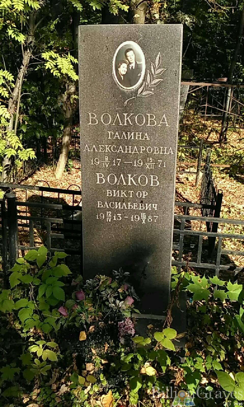 Волков Виктор Васильевич