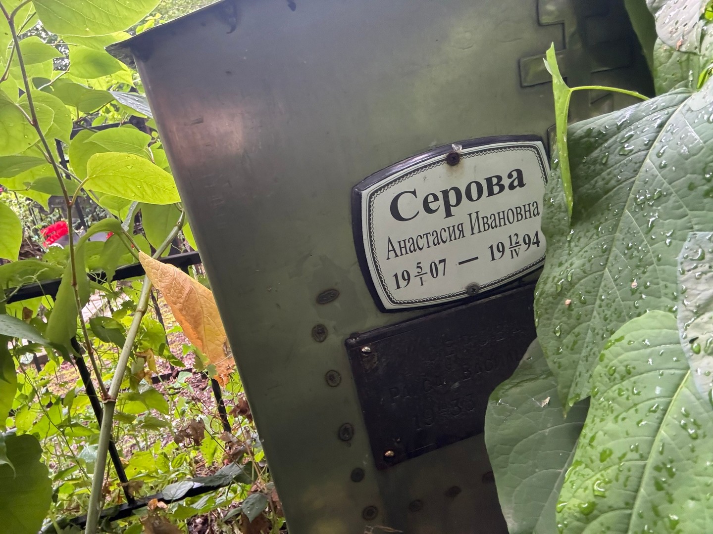 Серова Анастасия Ивановна