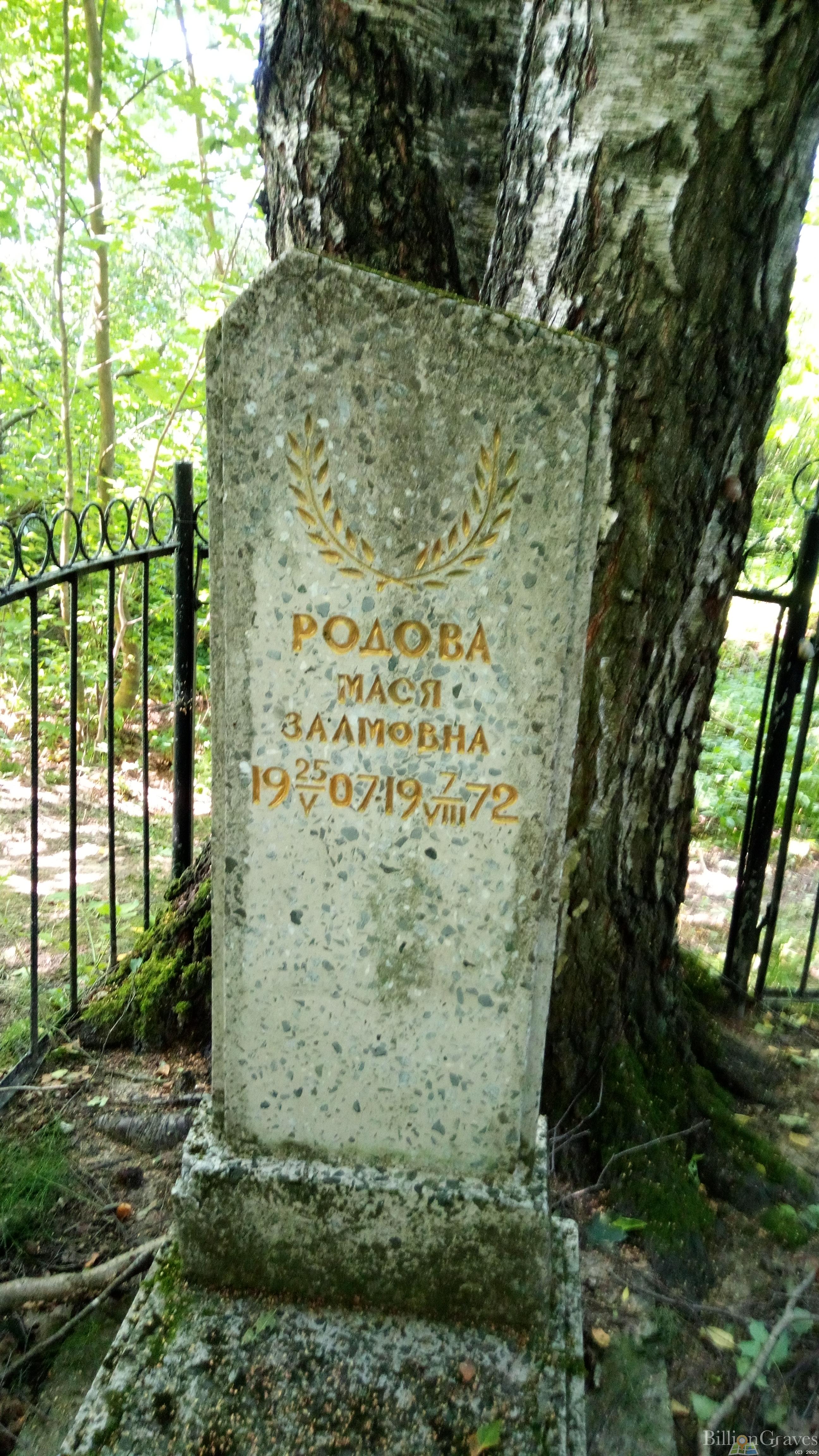 Родова Мася Заамовна