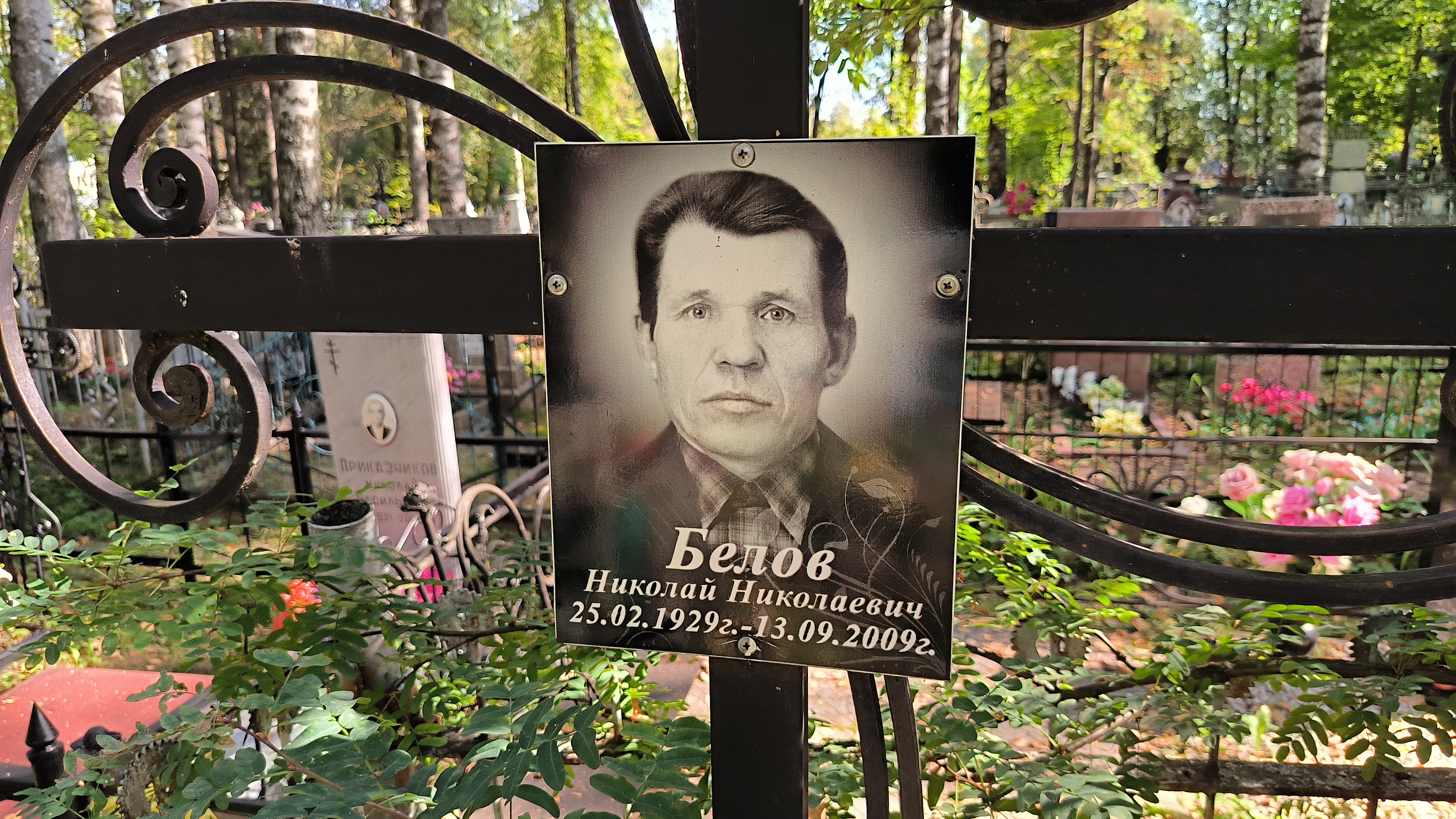Белова Дарья Михайловна