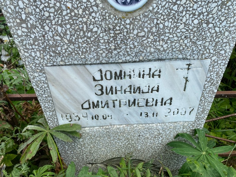 Домнина