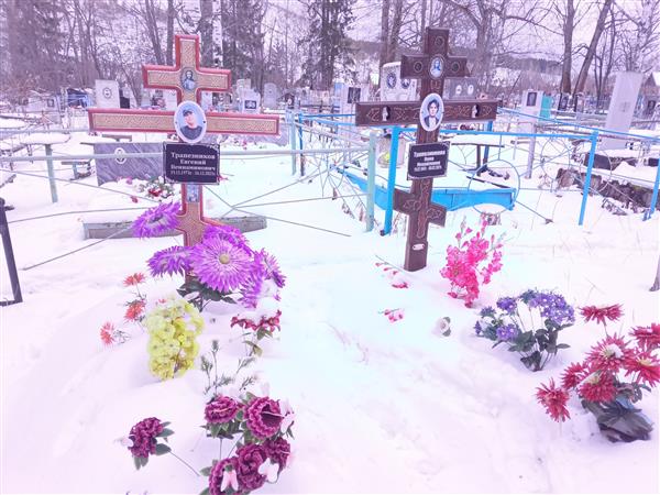 Трапезников Евгений Вениаминович
