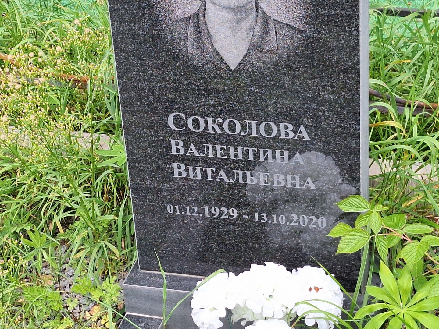 Соколова