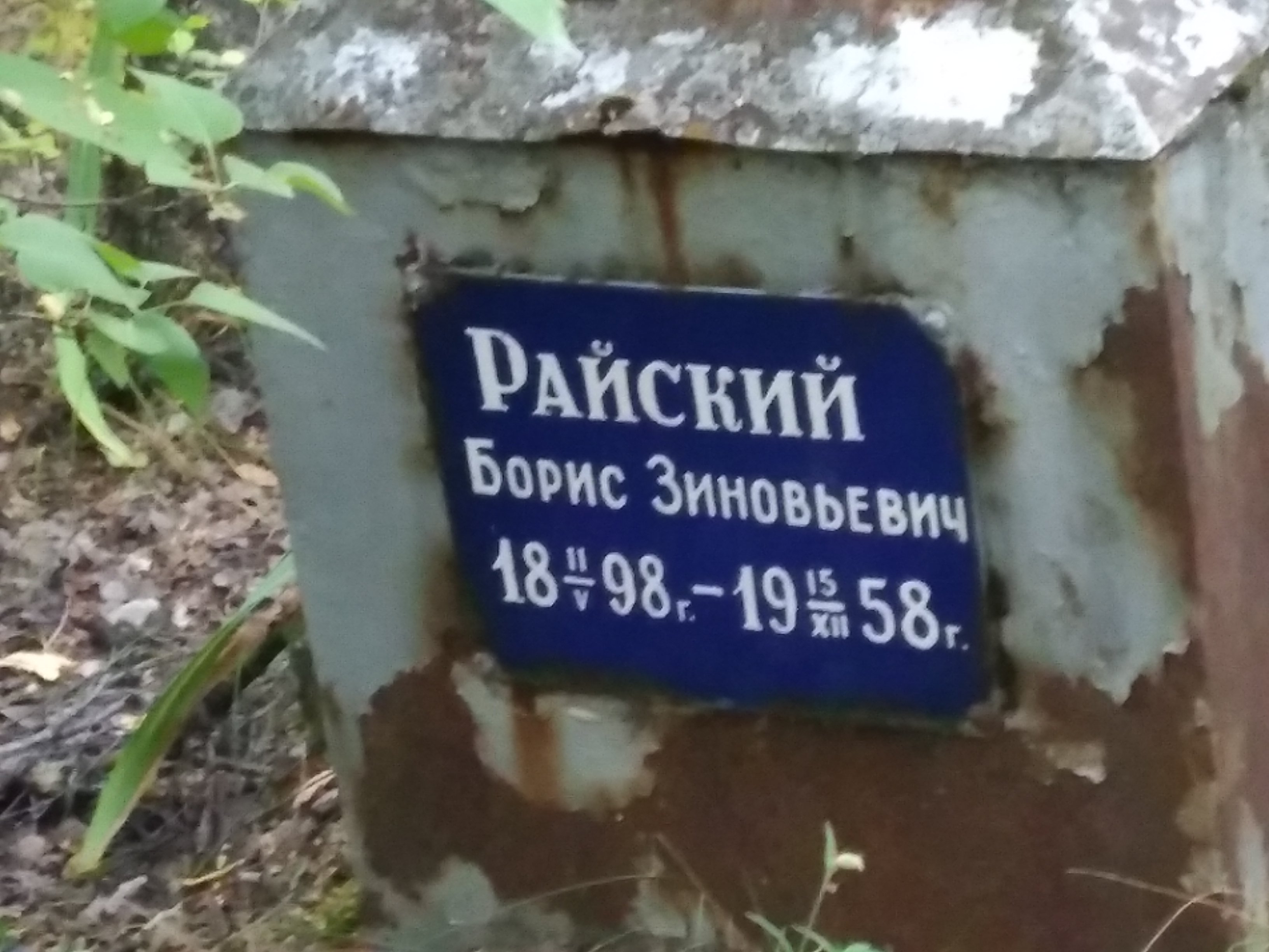 Райский Борис Зиновьевич