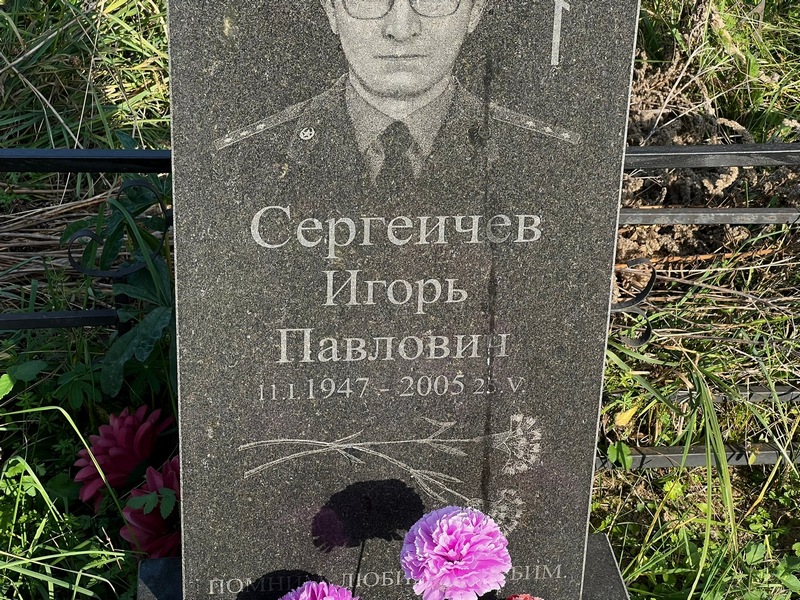Сергеичев