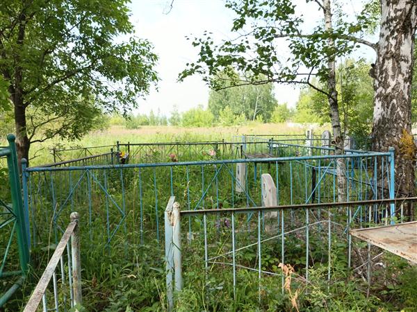 Сажнин Николай Петрович