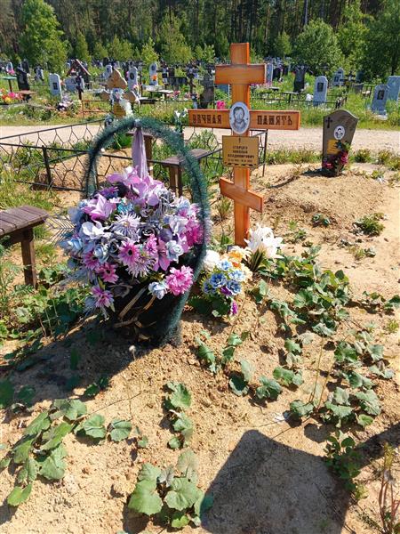 Старцев Николай Владимирович