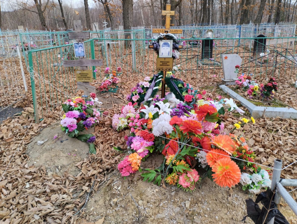 Моисеенко Дарья Николаевна