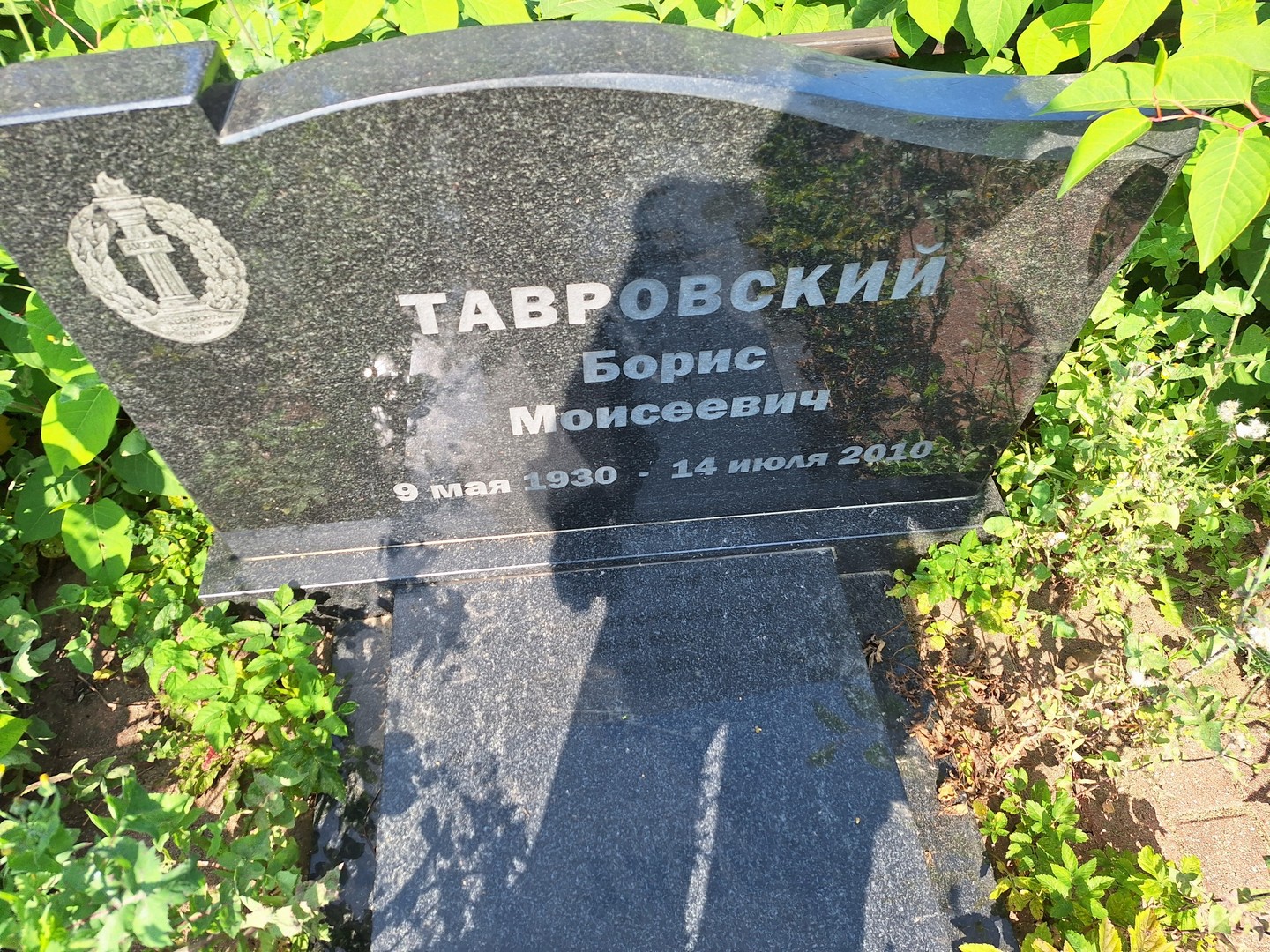 Тавровский