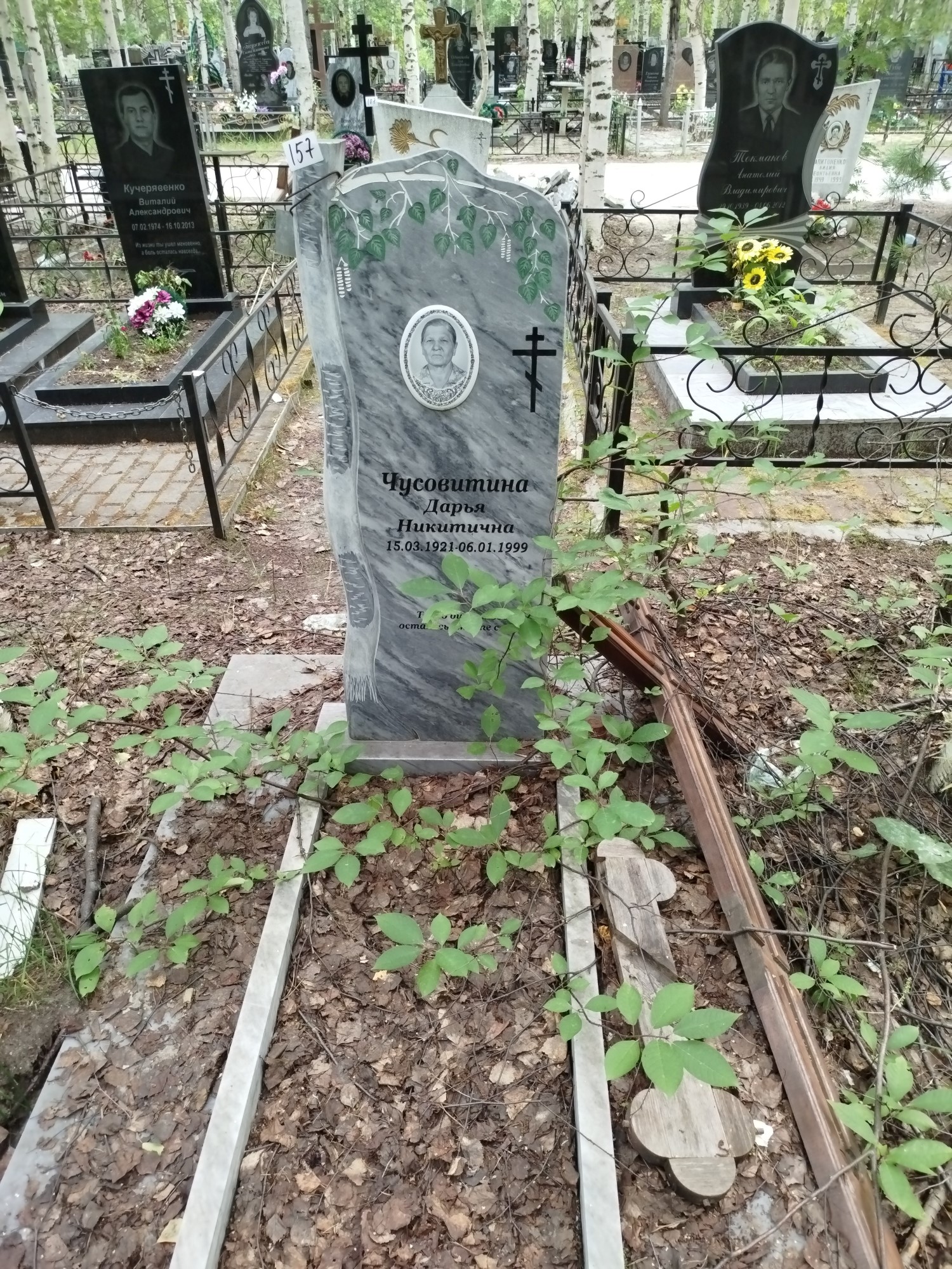 Чусовитина Дарья Никитчина