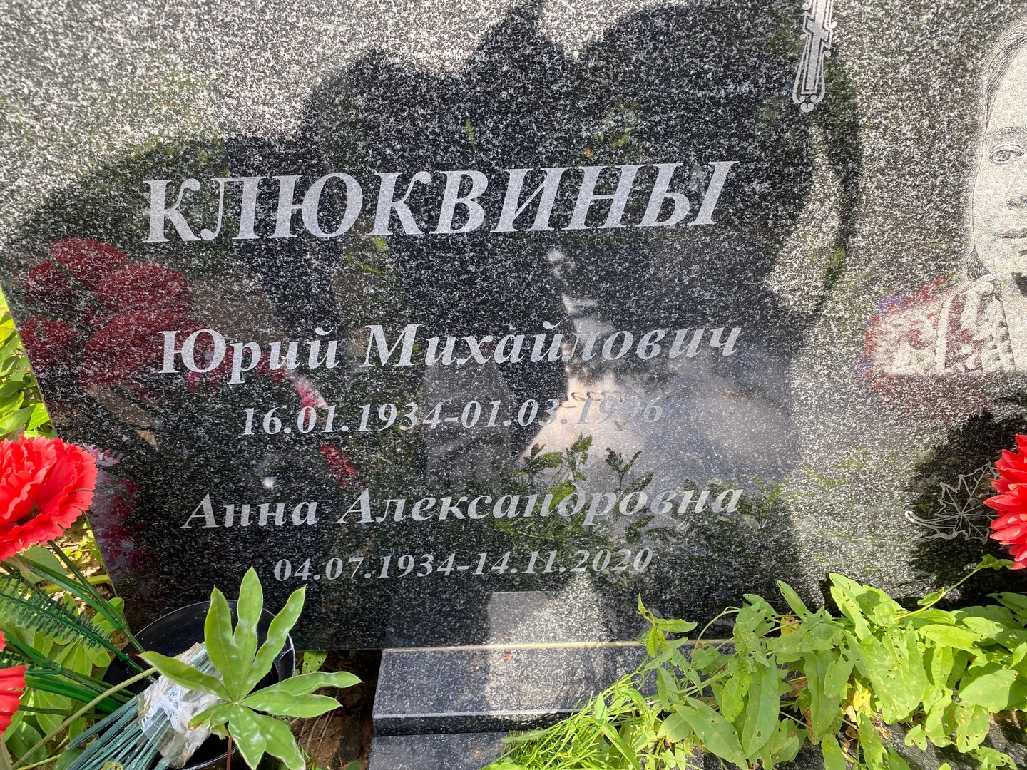 Клюквина