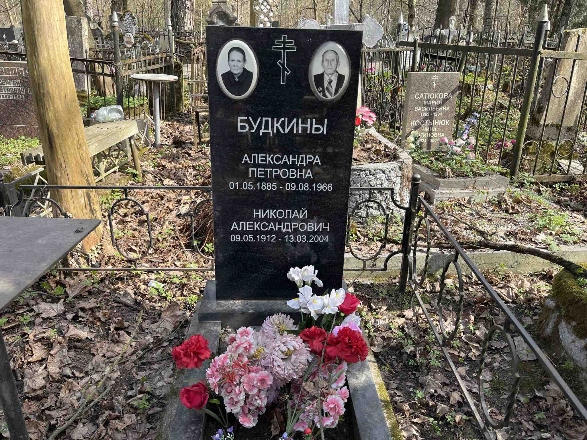 Будкин Николай Александрович