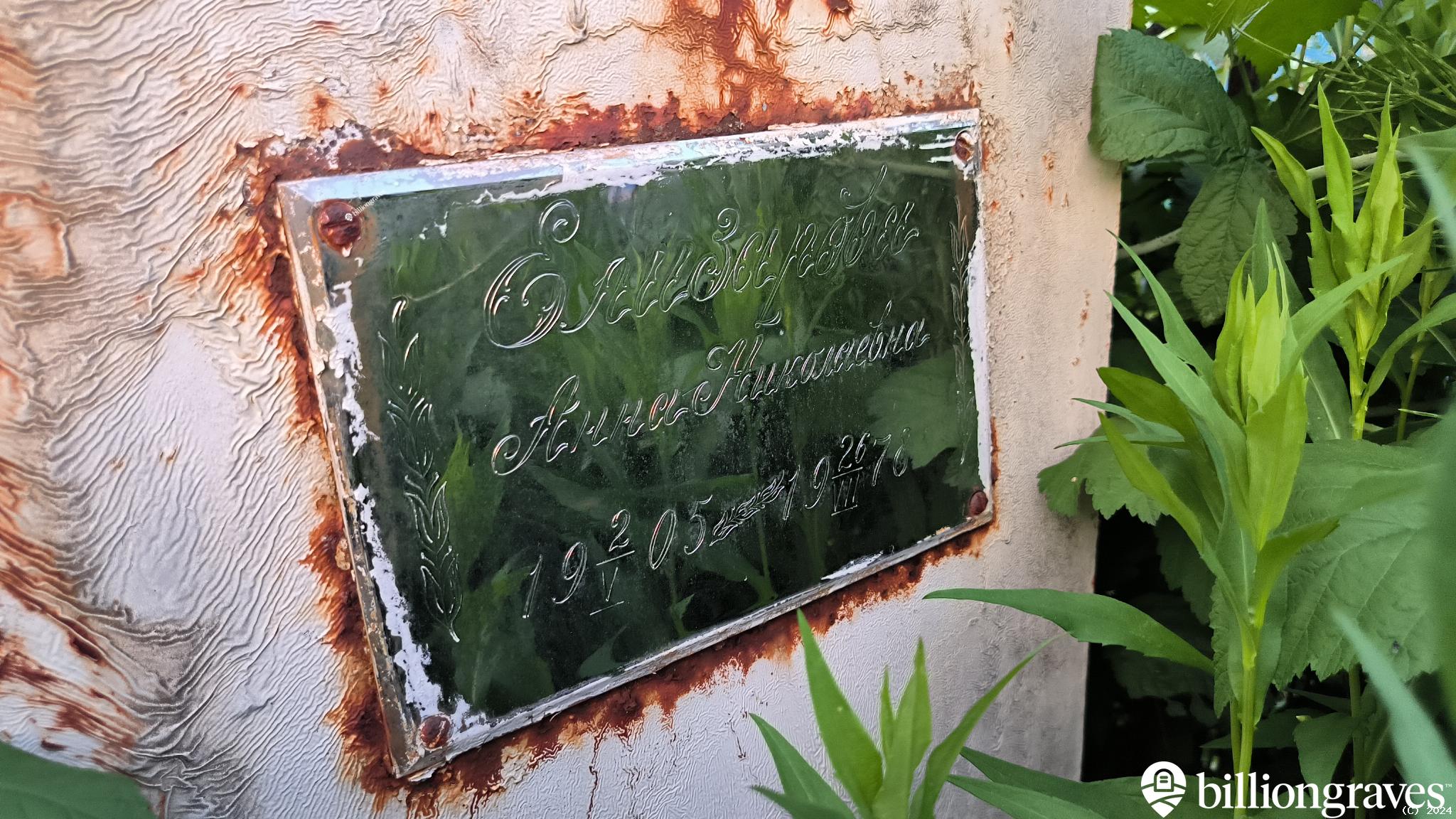 Елизарова Анна Николаевна