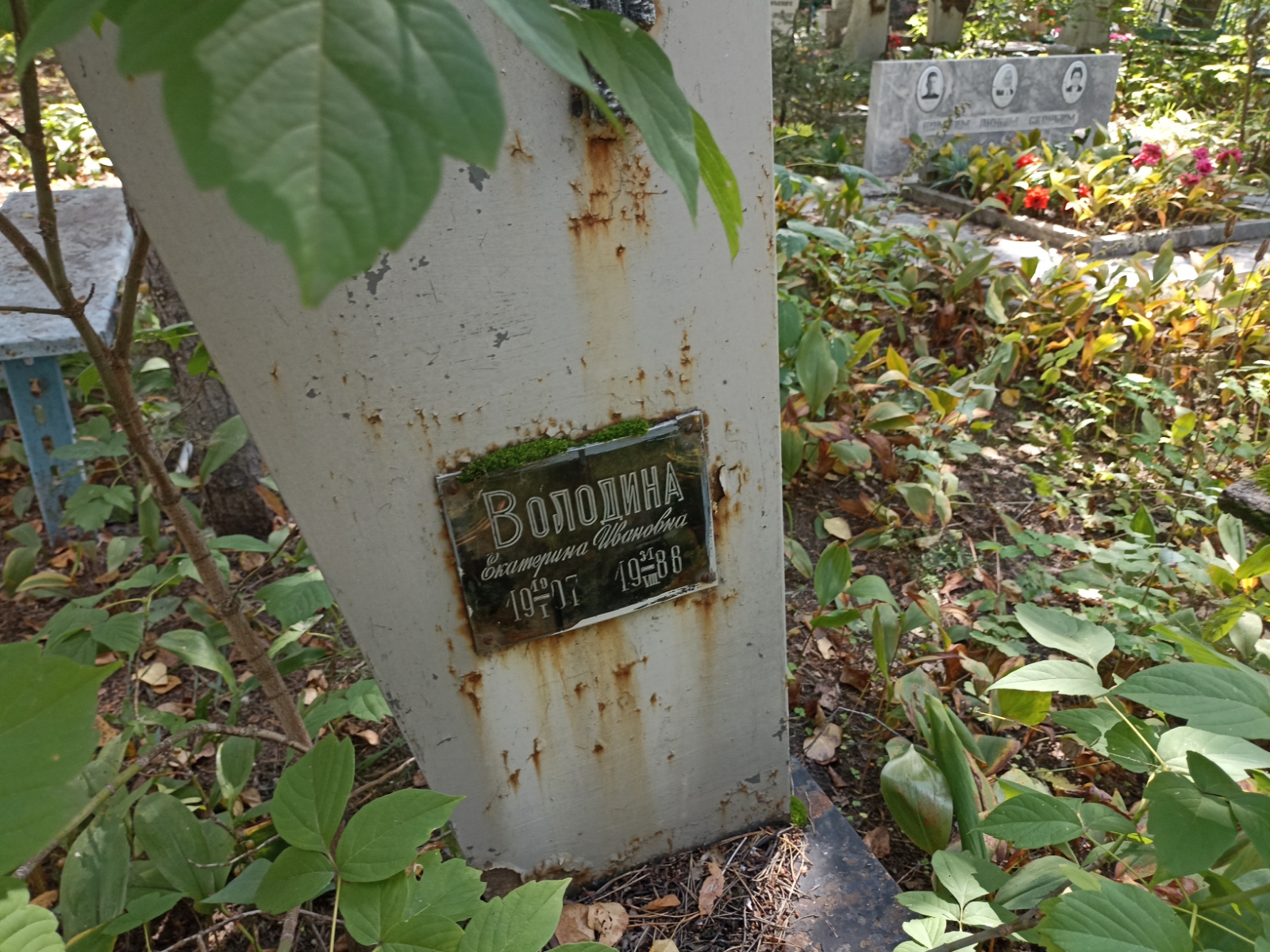 Володина Екатерина Ивановна
