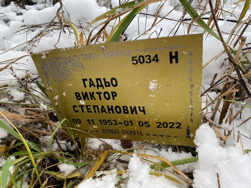 Гадьо