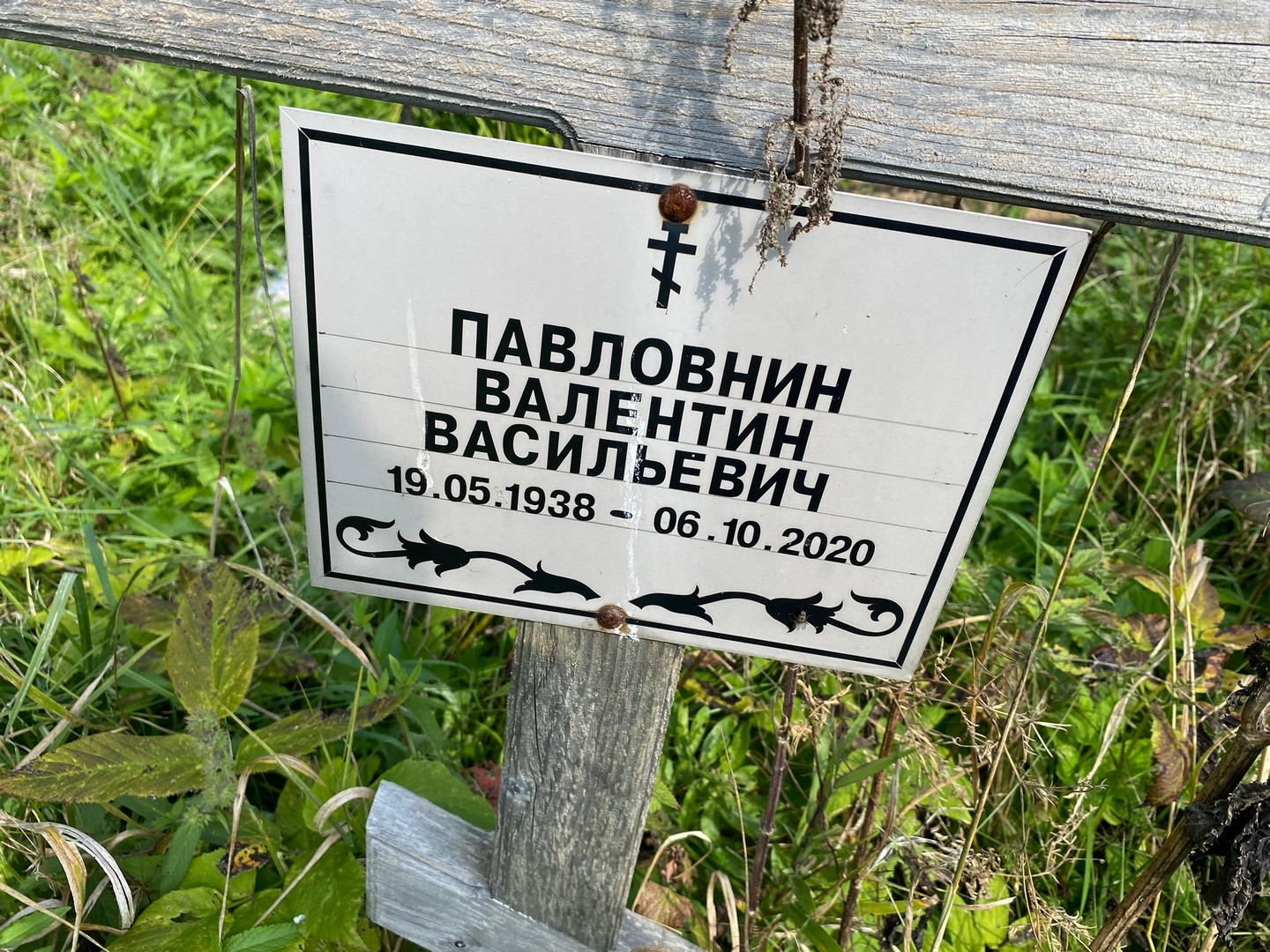 Павловнин