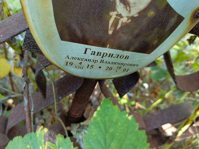 Гаврилов