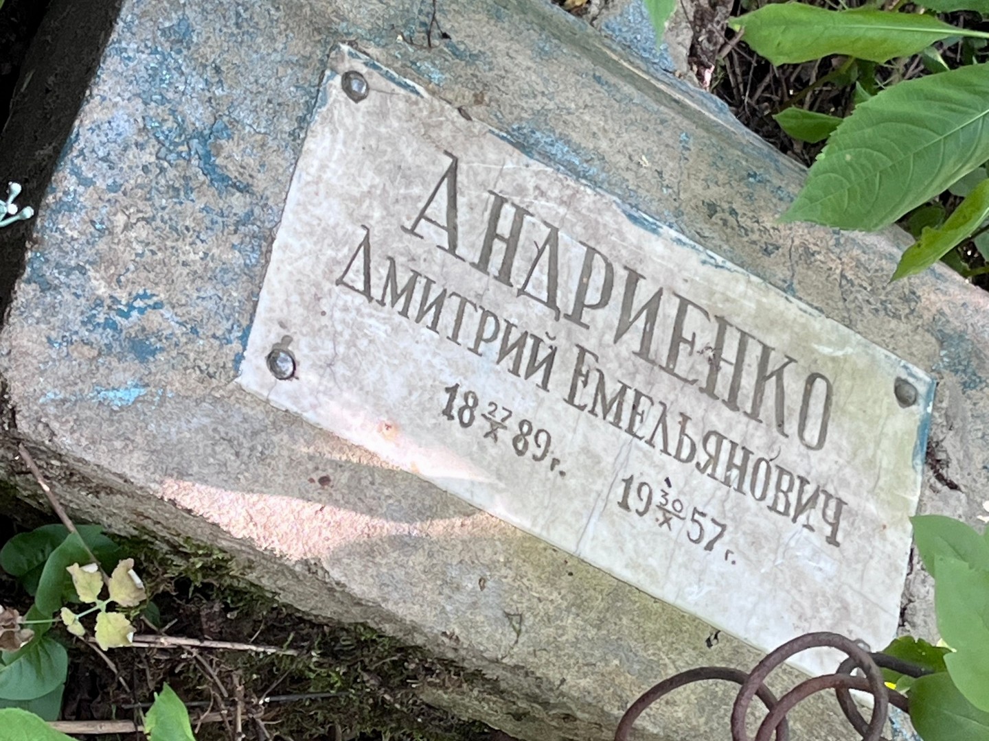 Андриенко