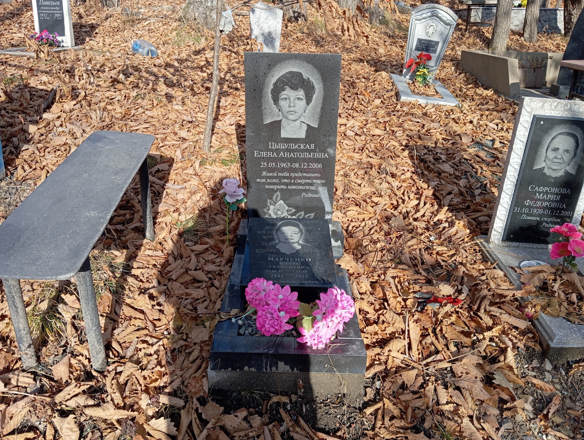 Цыбульская Елена Анатольевна