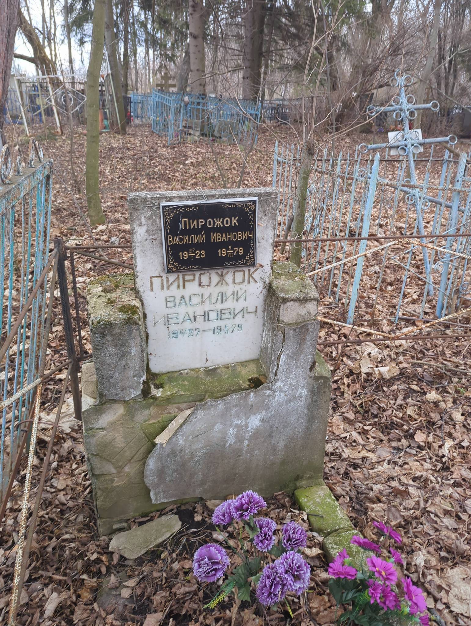 Пирожок Василий Иванович