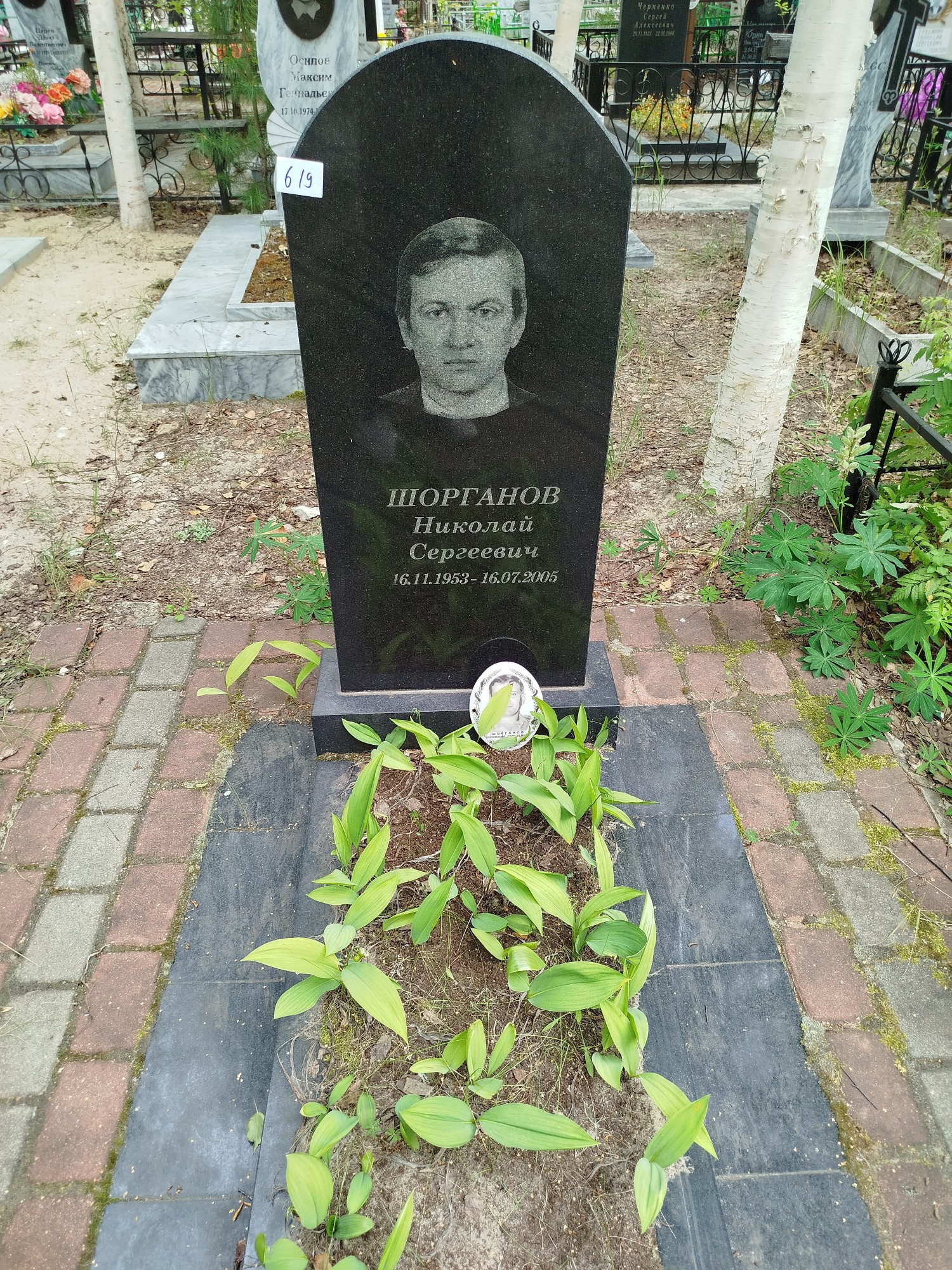 Шорганов Николай Сергеевич