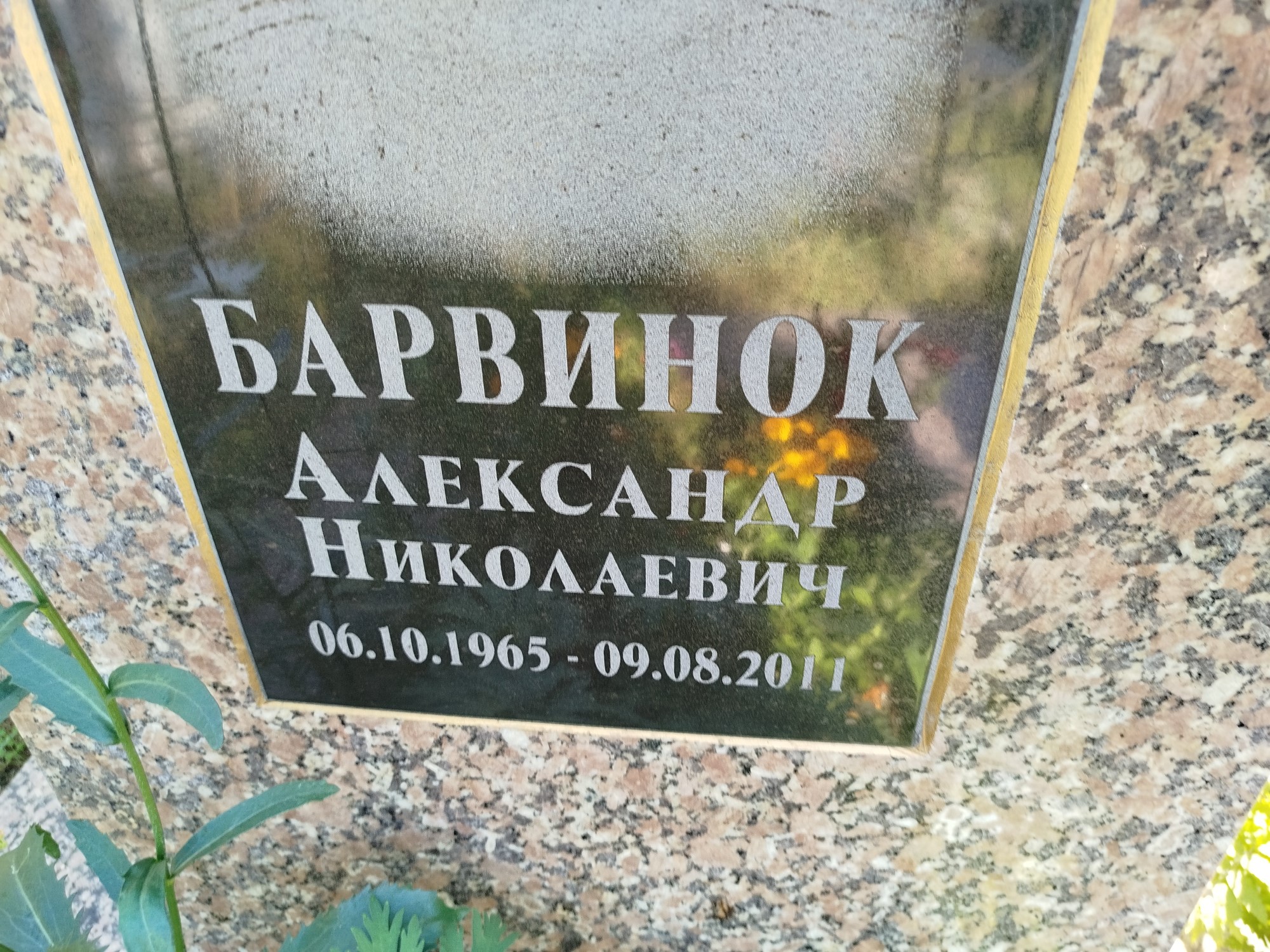 Барвинок Александр Николаевич