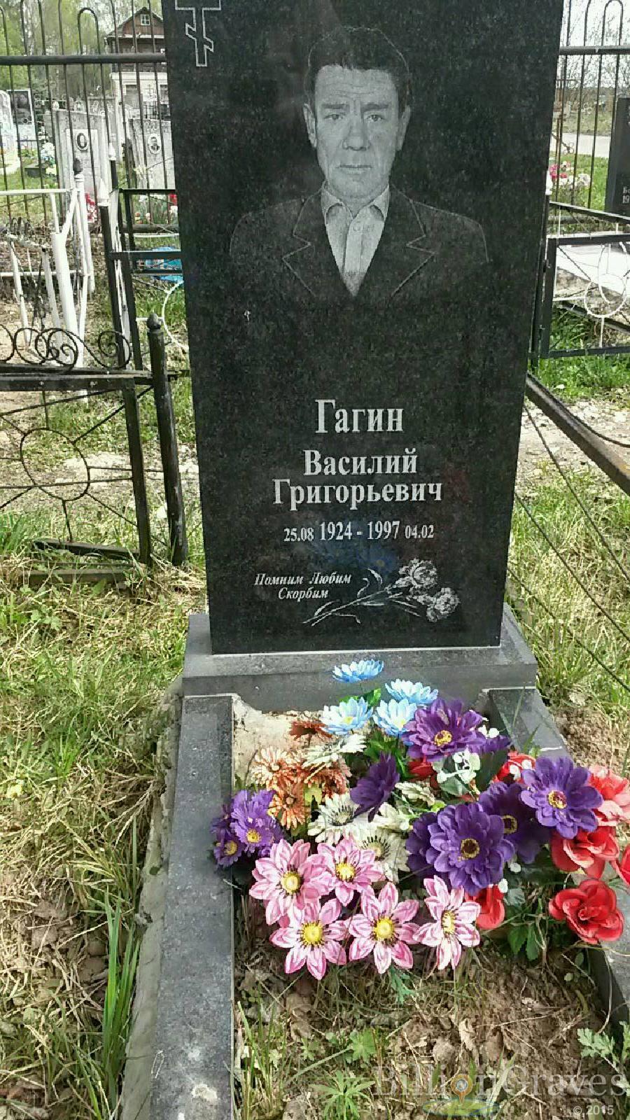 гагин василий григорьевич