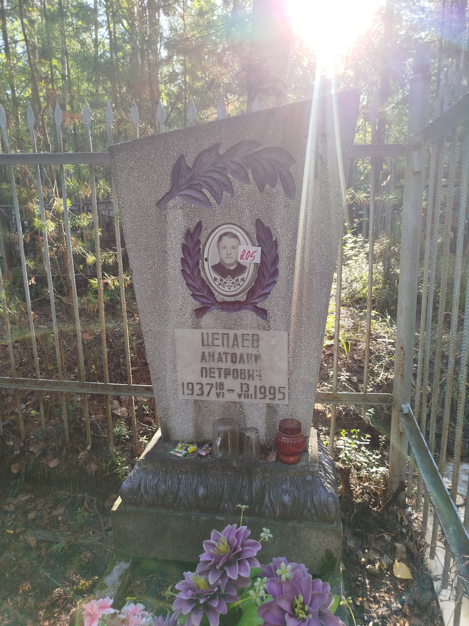 Цепаев Анатолий Петрович