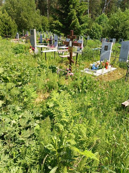 Горбунова Галина Андреевна