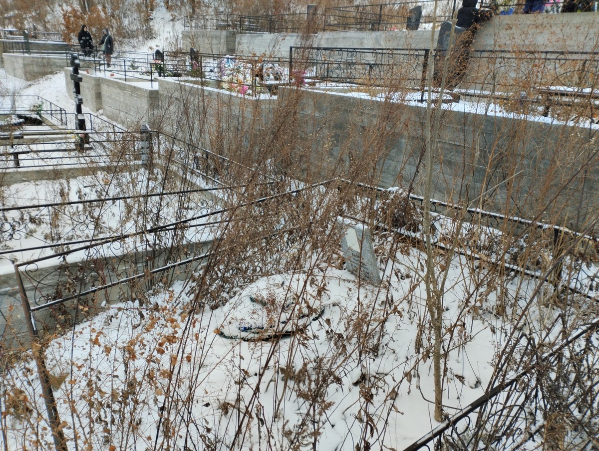 Васик Нинель Станиславович