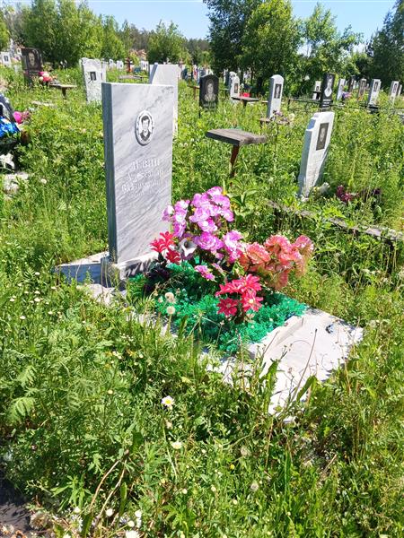 Левин Александр Владимирович