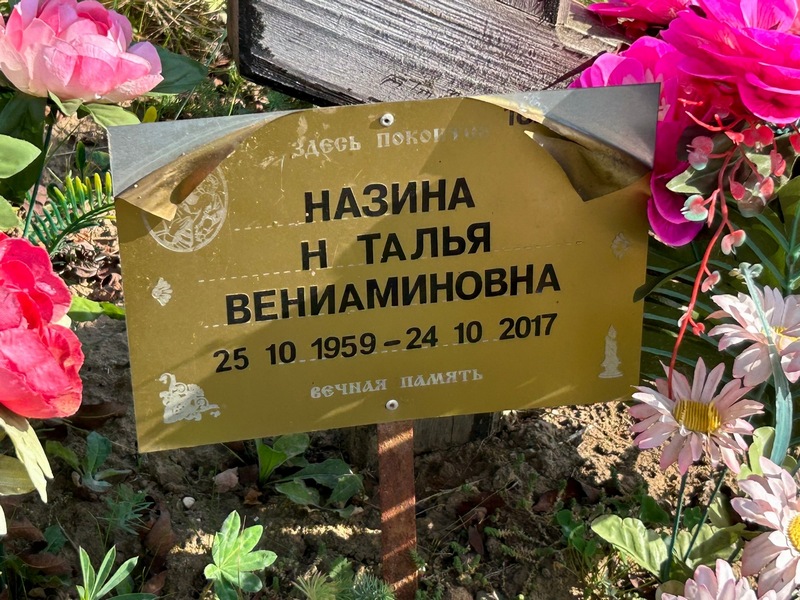 Назина