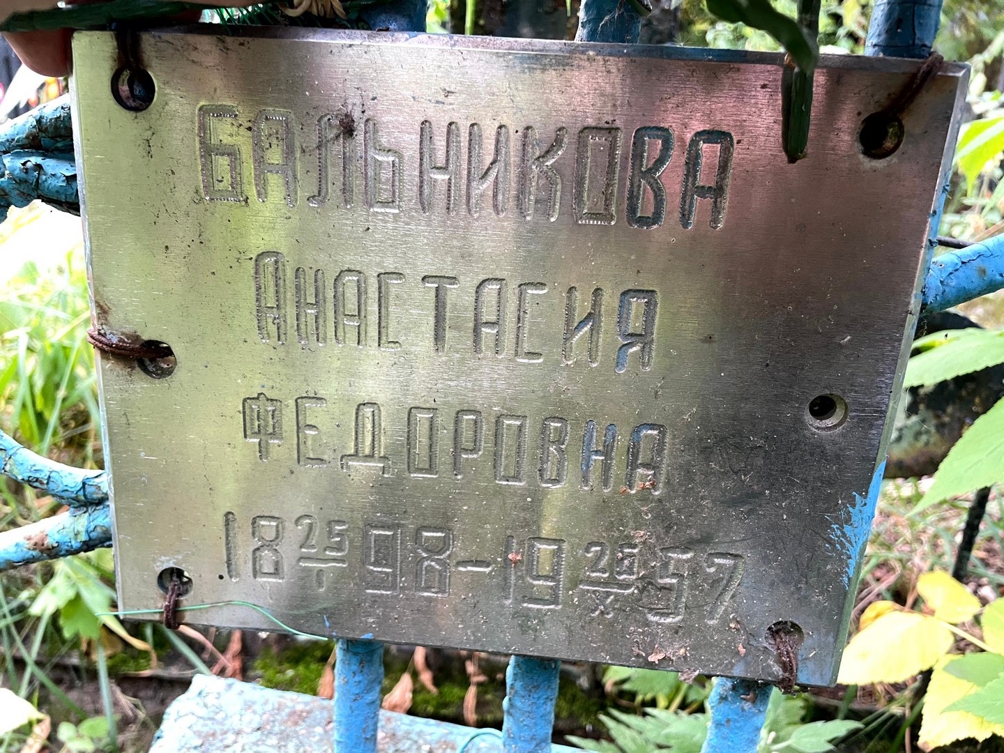 Бальникова Анастасия Федоровна