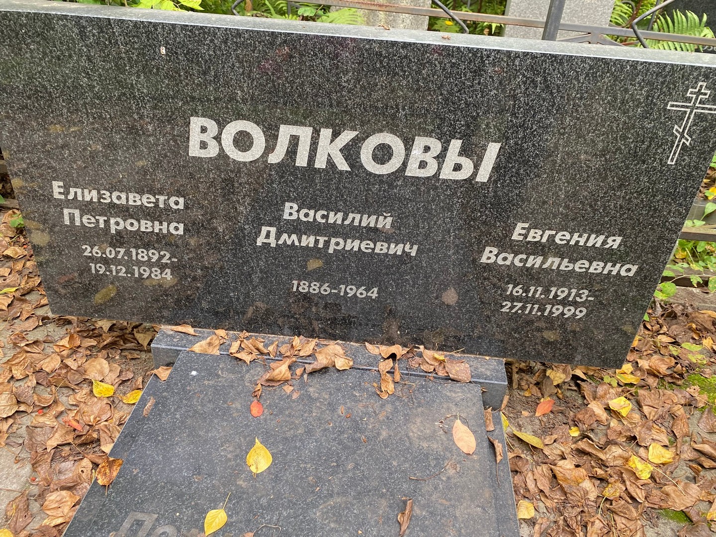 Волкова
