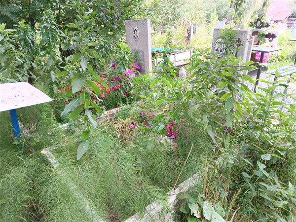 Кулагина Нелли Федоровна