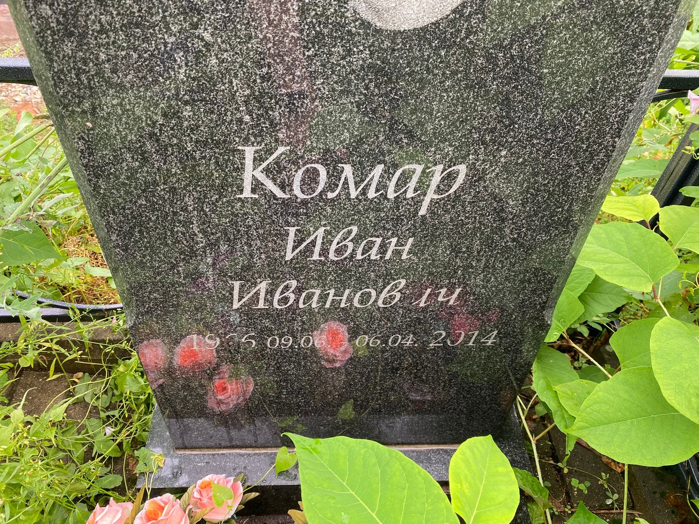Комар