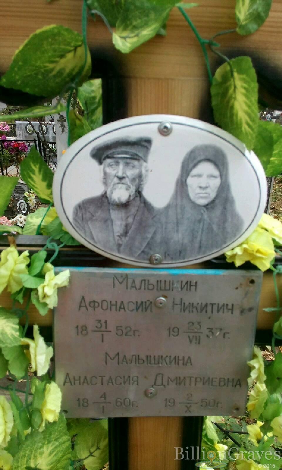 Малышкина Анастасия Дмитриевна