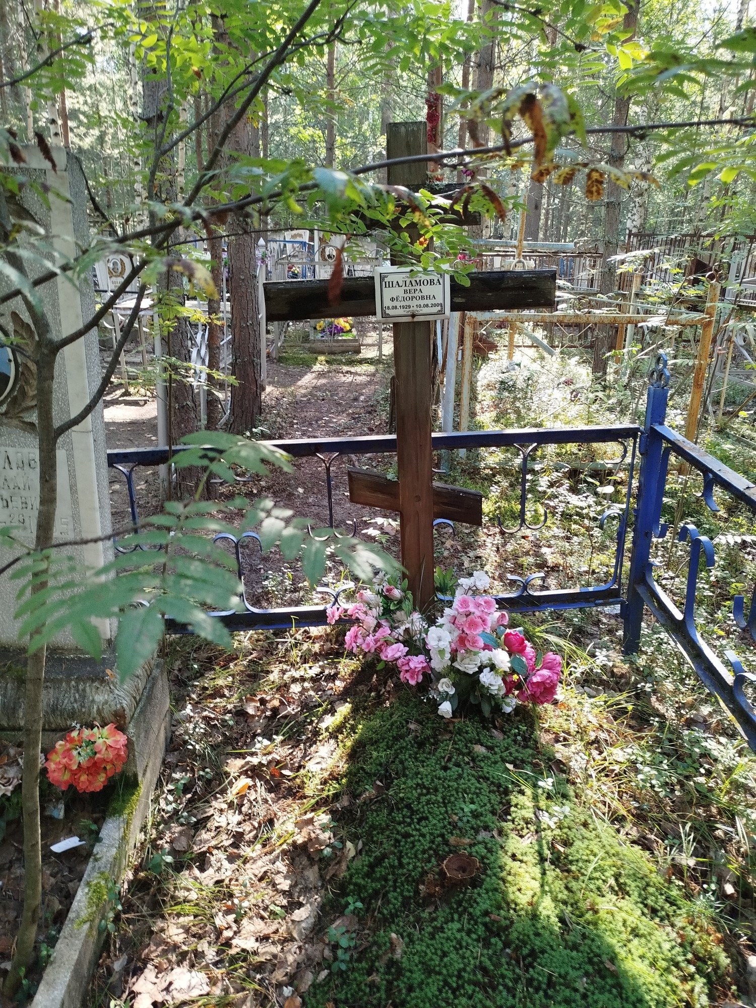 Шаламова Вера Федоровна