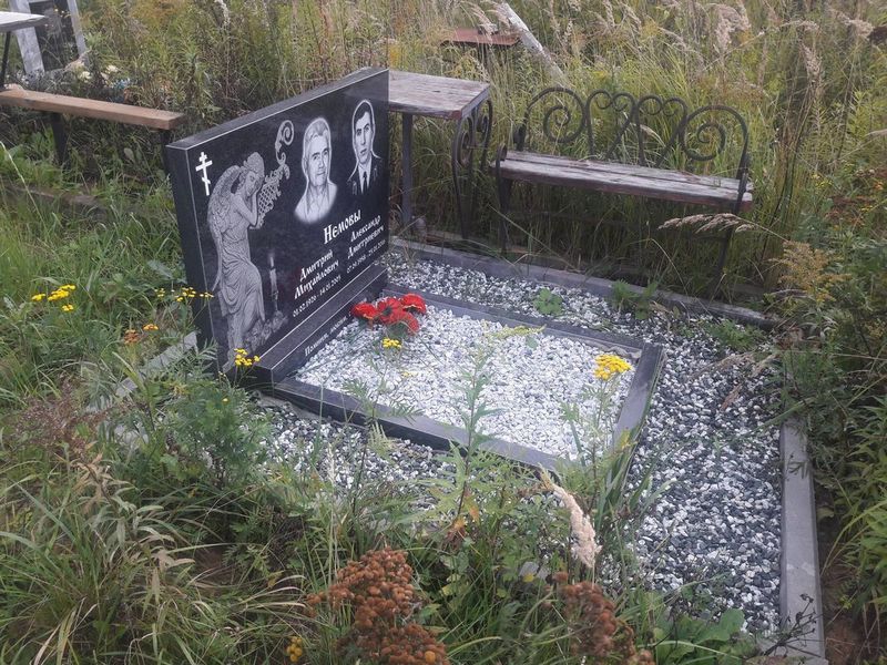 Немов Дмитрий Михайлович