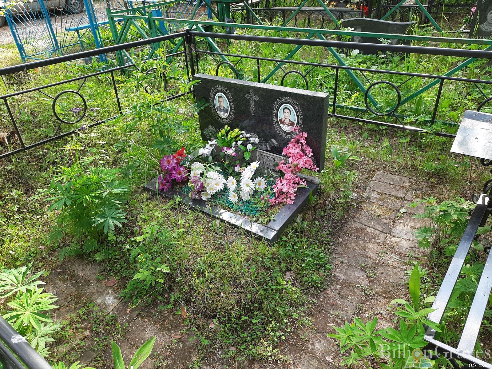 Ястребова Александра Дмитриевна